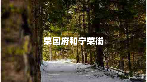 榮國(guó)府和寧榮街