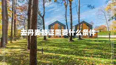 去丹麥簽證需要什么條件