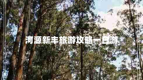 河源新豐旅游攻略一日游