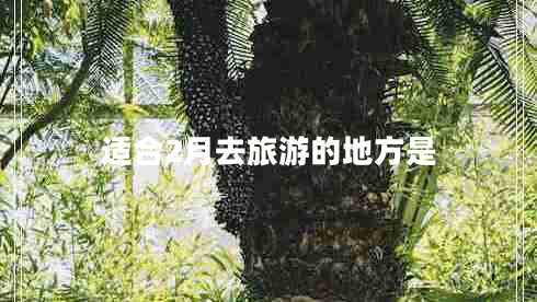 適合2月去旅游的地方是