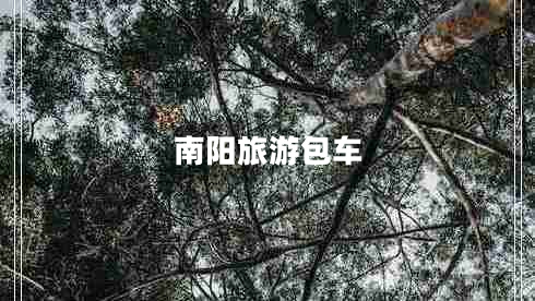 南陽(yáng)旅游包車