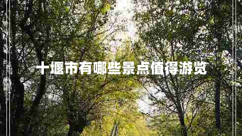 十堰市有哪些景點(diǎn)值得游覽