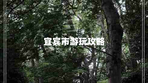 宜賓市游玩攻略 宜賓市游玩攻略