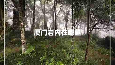 廈門(mén)巖內(nèi)在哪里