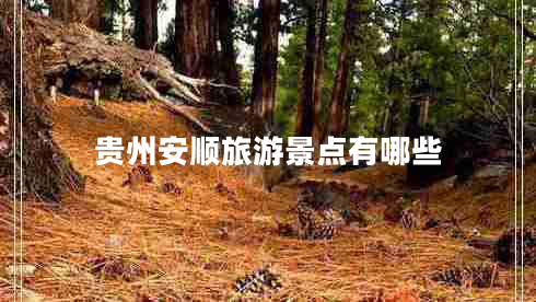 貴州安順旅游景點(diǎn)有哪些