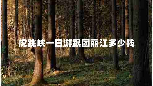 虎跳峽一日游跟團(tuán)麗江多少錢