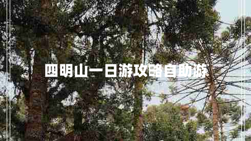 四明山一日游攻略自助游