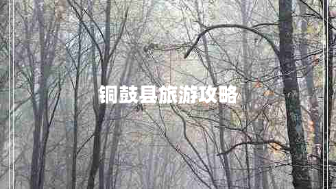 銅鼓縣旅游攻略