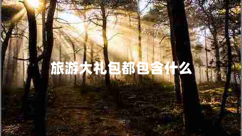 旅游大禮包都包含什么