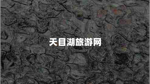 天目湖旅游網(wǎng)