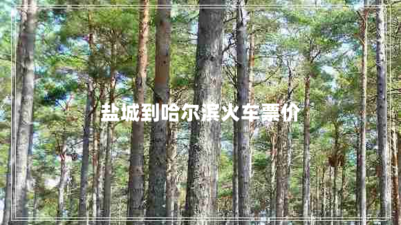 鹽城到哈爾濱火車(chē)票價(jià)