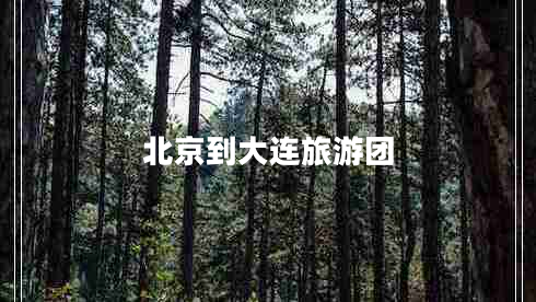 北京到大連旅游團 北京到大連旅游團
