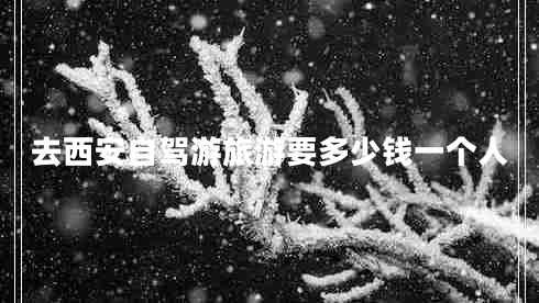 去西安自駕游旅游要多少錢一個(gè)人 去西安自駕游旅游要多少錢一個(gè)人