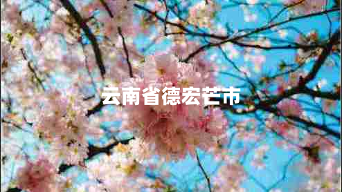 云南省德宏芒市