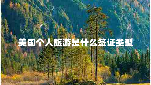 美國個人旅游是什么簽證類型 美國個人旅游是什么簽證類型