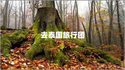 去泰國(guó)旅行團(tuán)