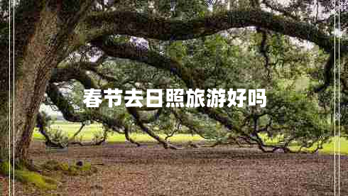春節(jié)去日照旅游好嗎