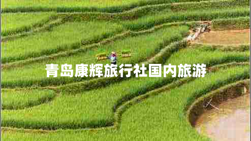 青島康輝旅行社國(guó)內(nèi)旅游