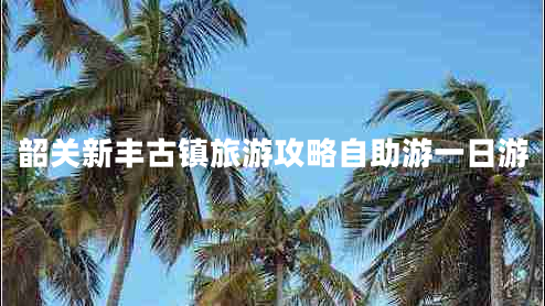 韶關(guān)新豐古鎮(zhèn)旅游攻略自助游一日游