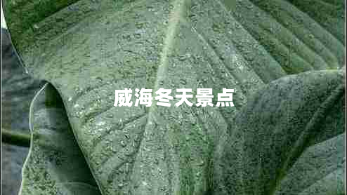 威海冬天景點 威海冬天景點