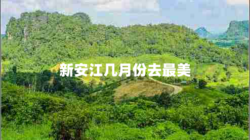 新安江幾月份去最美
