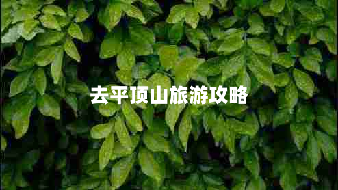 去平頂山旅游攻略