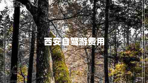 西安自駕游費(fèi)用
