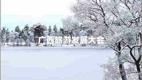 廣西旅游發(fā)展大會(huì)