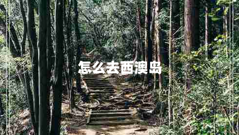 怎么去西澳島 怎么去西澳島