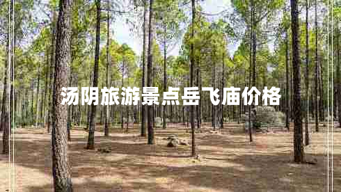 湯陰旅游景點(diǎn)岳飛廟價(jià)格