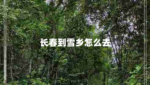 長(zhǎng)春到雪鄉(xiāng)怎么去