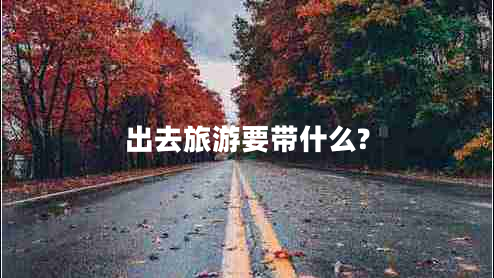 出去旅游要帶什么?
