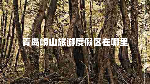 青島嶗山旅游度假區(qū)在哪里