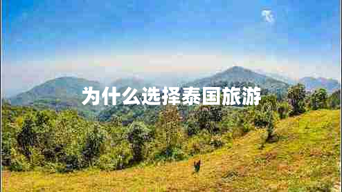 為什么選擇泰國旅游