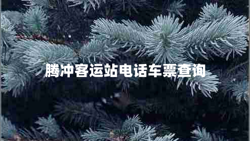 騰沖客運(yùn)站電話車票查詢