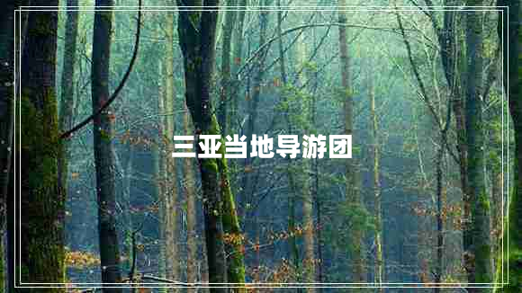 三亞當(dāng)?shù)貙?dǎo)游團(tuán)