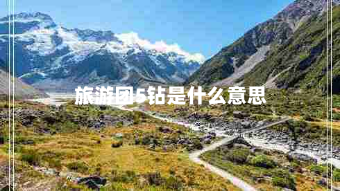 旅游團5鉆是什么意思