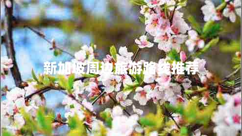 新加坡周邊旅游路線推薦 新加坡周邊旅游路線推薦