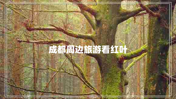 成都周邊旅游看紅葉