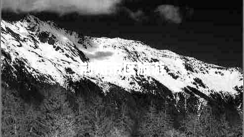 荊州市區(qū)旅游