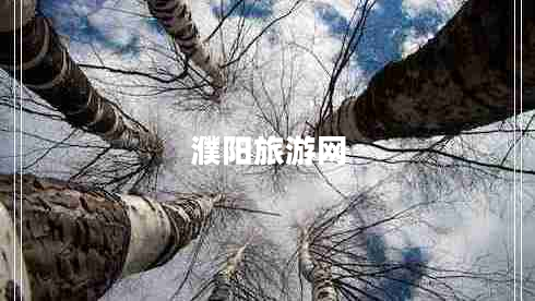 濮陽(yáng)旅游網(wǎng)