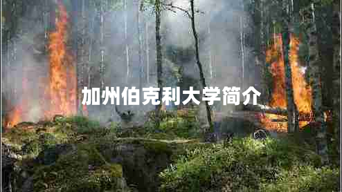 加州伯克利大學(xué)簡(jiǎn)介