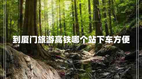 到廈門旅游高鐵哪個站下車方便