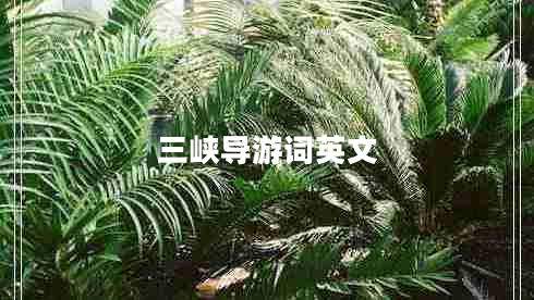 三峽導(dǎo)游詞英文
