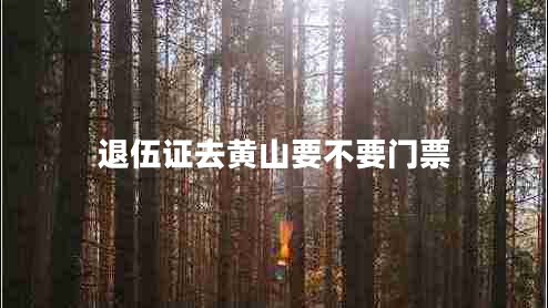 退伍證去黃山要不要門票