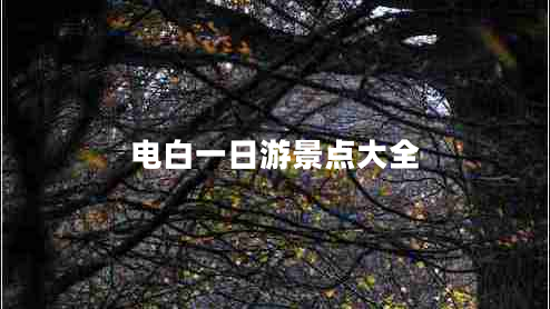 電白一日游景點大全 電白一日游景點大全