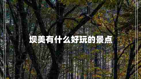 壩美有什么好玩的景點(diǎn)