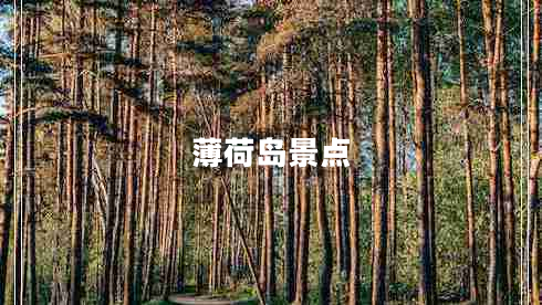 薄荷島景點 薄荷島景點