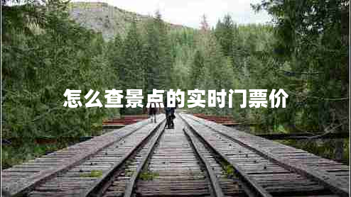 怎么查景點的實時門票價
