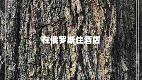 在俄羅斯住酒店